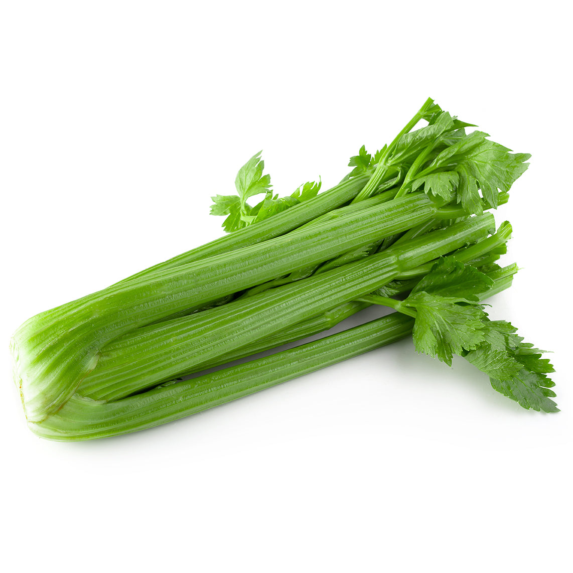 Celery, Tall Utah flower seeds