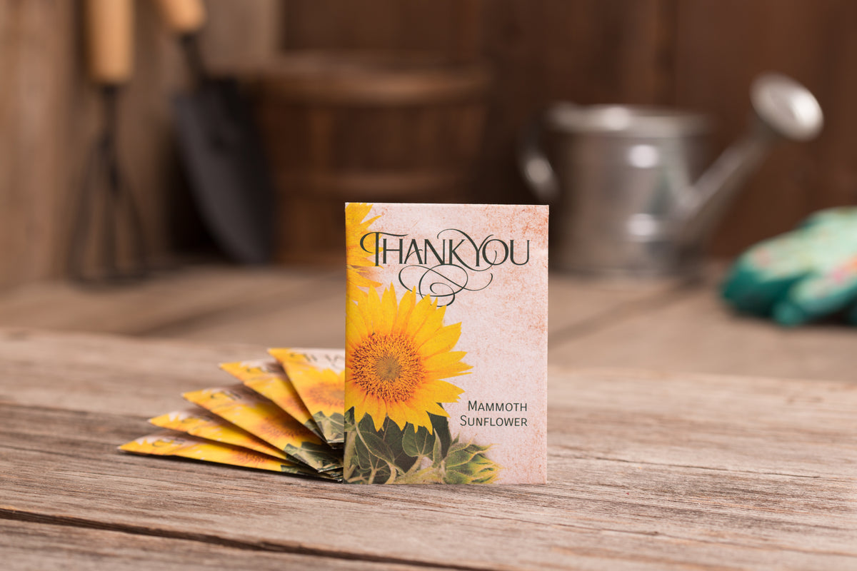 Thank You garden seeds