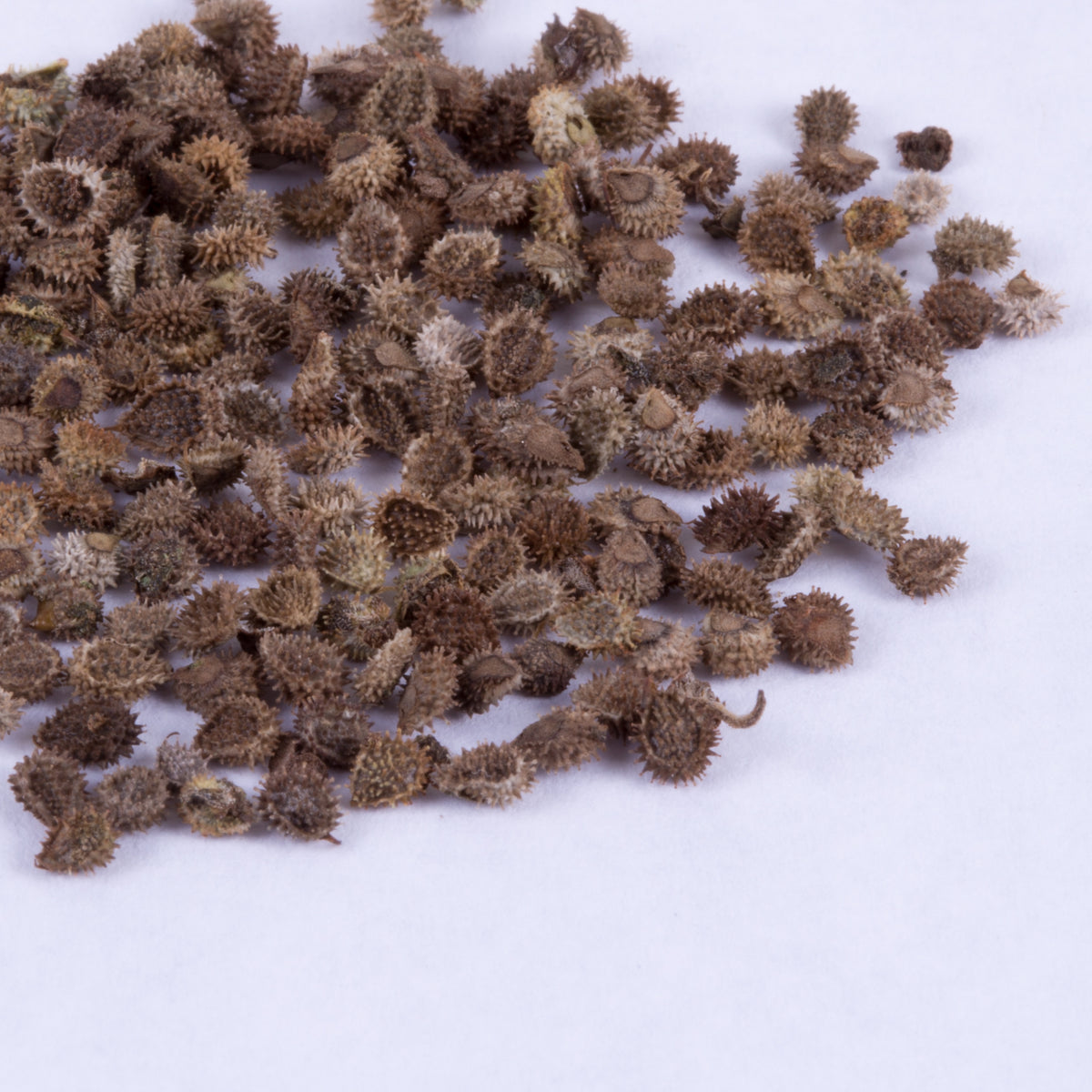 Vintage Gift seed packet