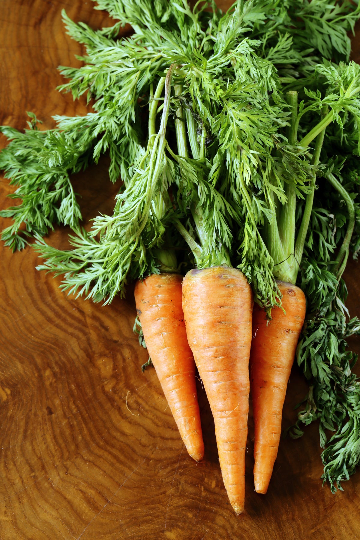 Three heirloom Danvers Half Long Carrots with greens on wooden table.