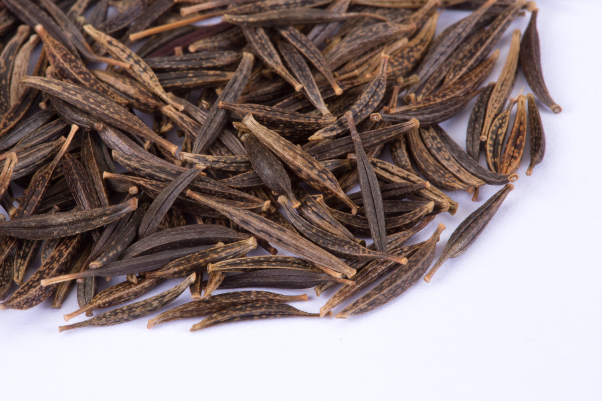 Cosmos, Sensation Seed Packets flower seeds