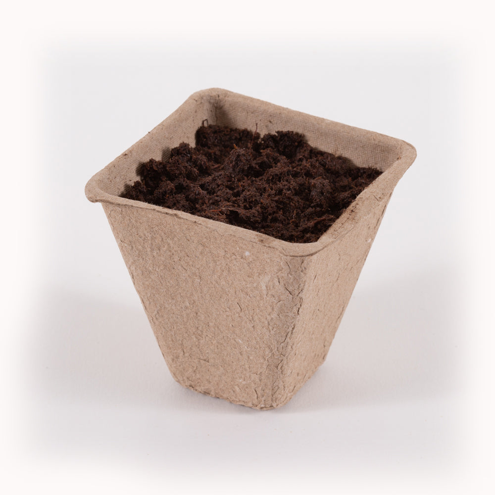 Window Garden Starter Kit flower seeds