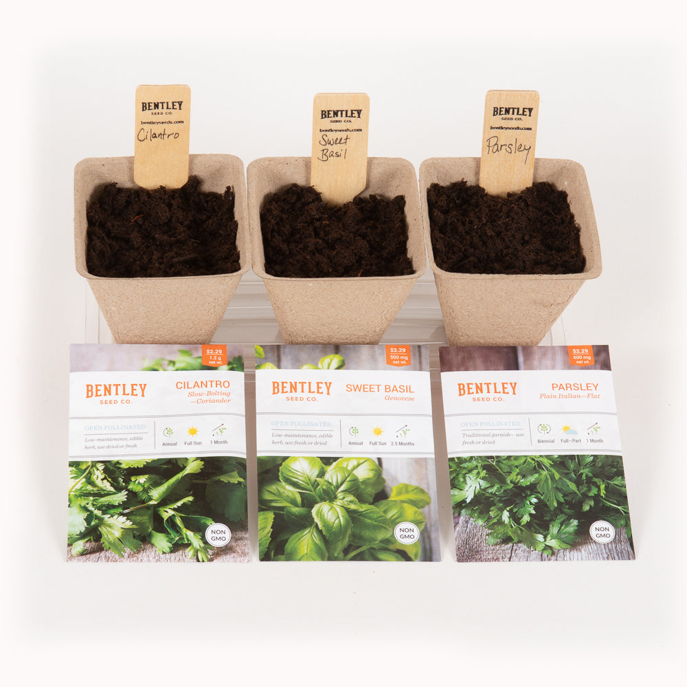 Window Garden Starter Kit flower seeds