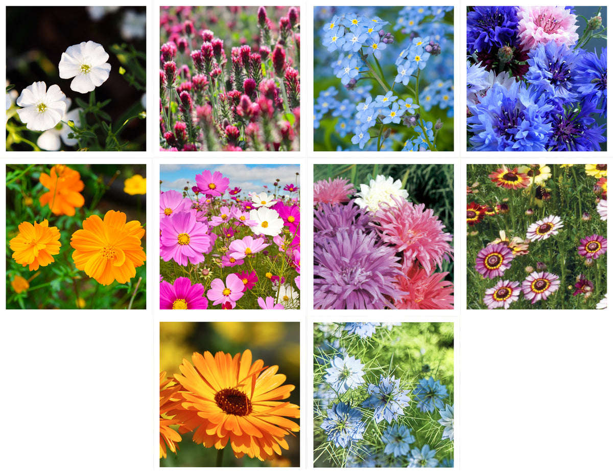 LOVE garden seeds