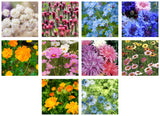 Bentley Seed Cut Flower Mix Includes: Annual Baby's Breath, Crimson Clover, Chinese Forget-Me-Not, Sulphur Cosmos, Sensation Mix Cosmos, China Single Mix Aster, Garland Daisy, 'Pacific Beauty' Calendula, 'Miss Jekyll' Love-in-a-Mist