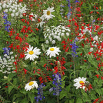 Old Glory Wildflower Mix seed packet