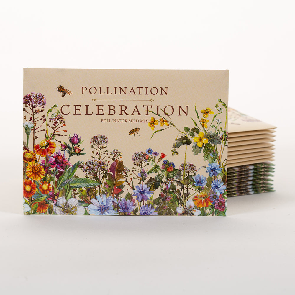250 Piece Pollinator Favor Seed Packet Retail POS Corrugated Display seed packet