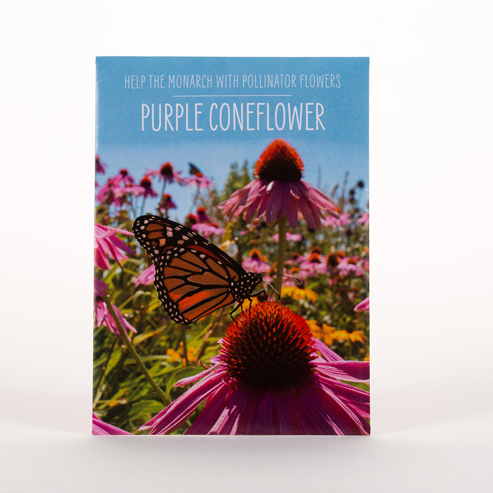 Help the Monarch Butterfly garden seeds