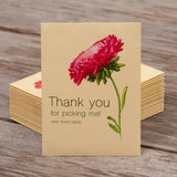 Thanks For Picking Me - Aster Mix Seed Packets - Bentley Seeds