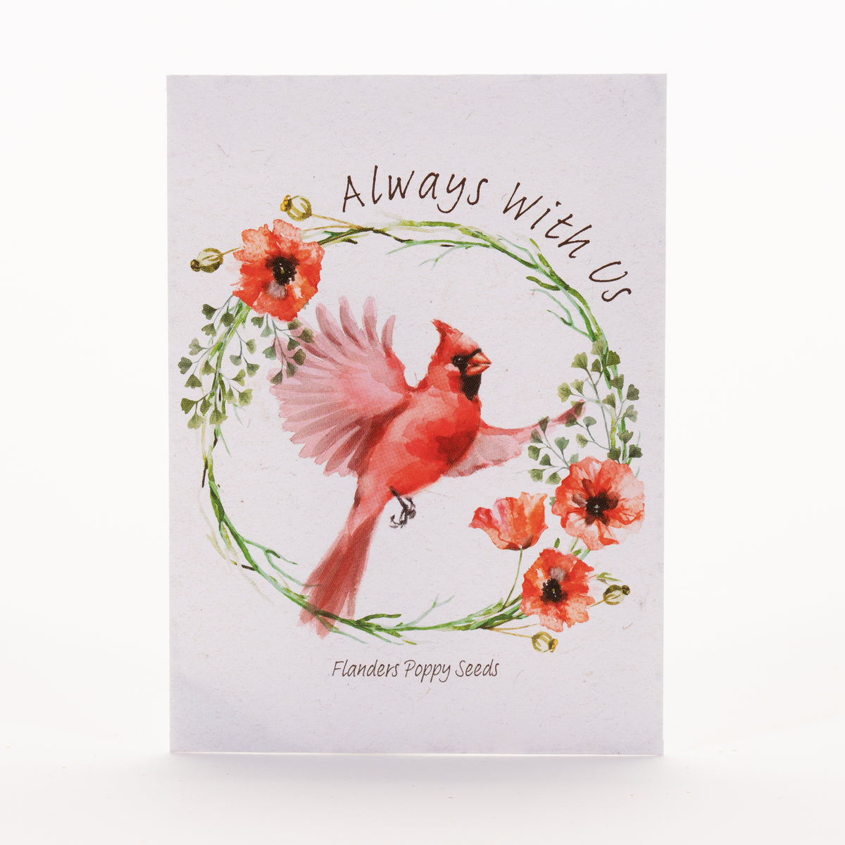 Memorial Cardinal garden seeds