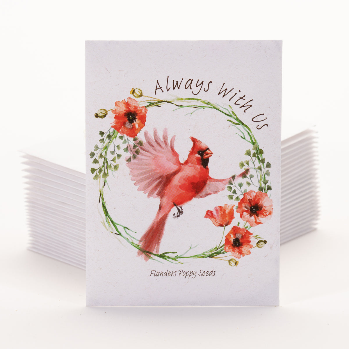 Memorial Cardinal garden seeds
