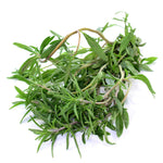Summer Savory garden seeds