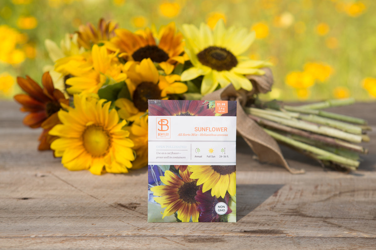 Sunflower, All Sorts Mix Seed Packets flower seeds