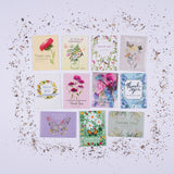 Thank You - Pollinator Flower Mix Seed Packets - Bentley Seeds