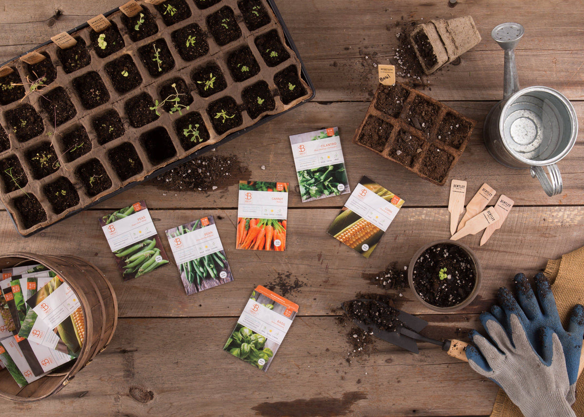 Top 20 Vegetable Seed Packets flower seeds