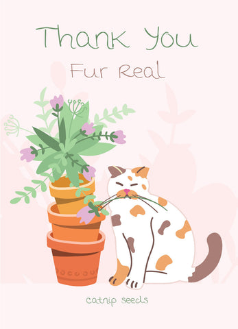 Thank You Fur Real - Catnip Seed Packets - Bentley Seeds