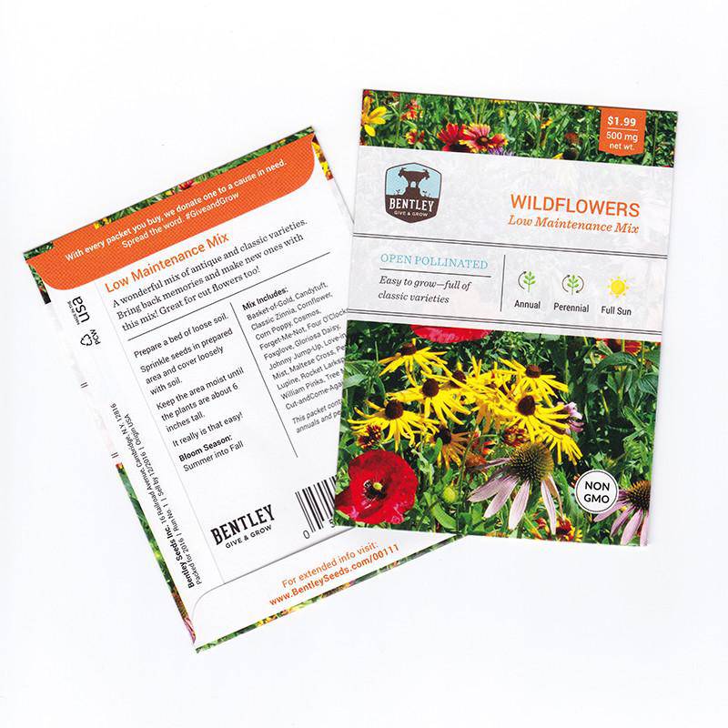 Low Maintenance Wildflower Mix flower seeds