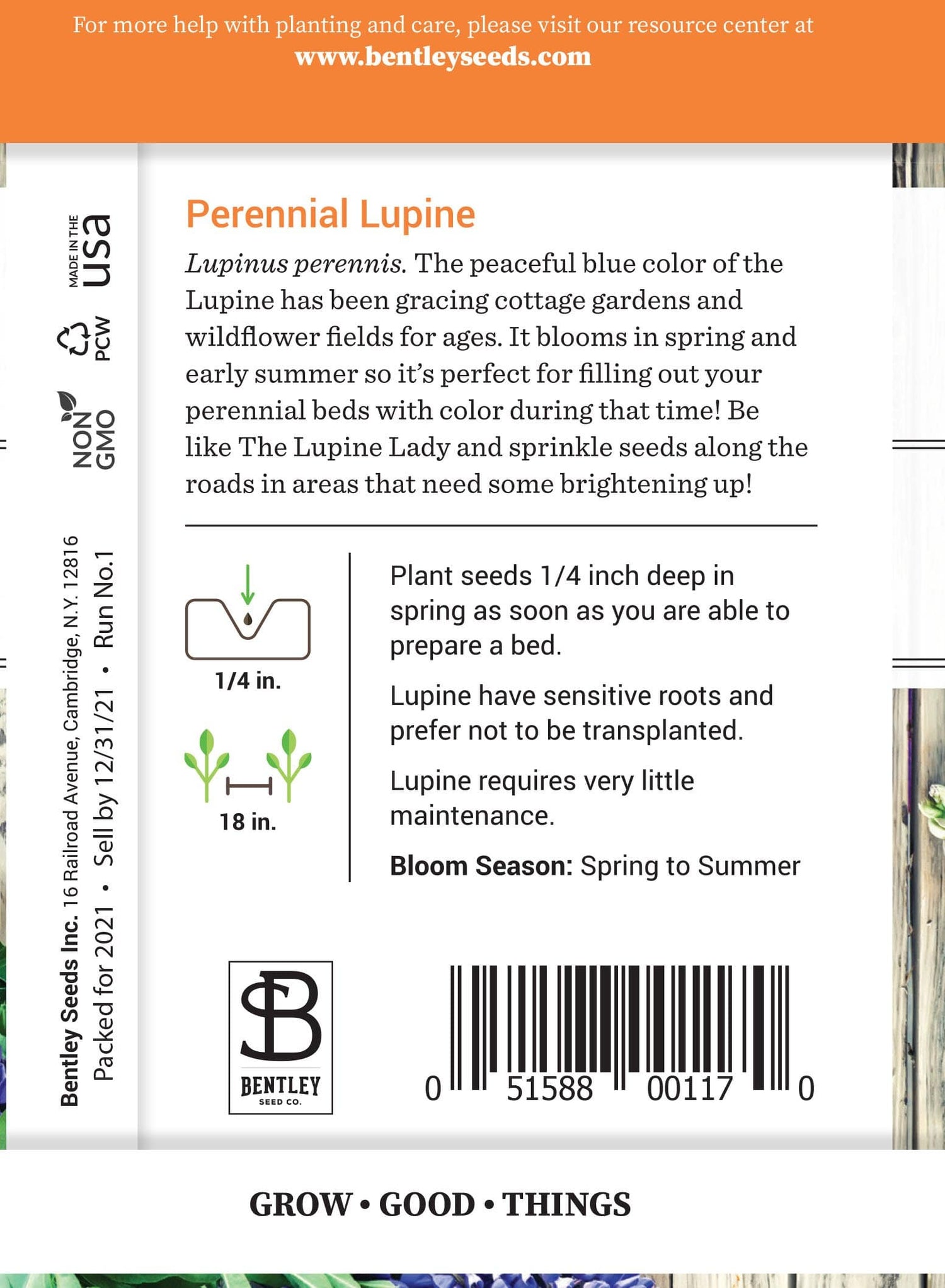 Lupine flower seeds