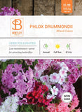 Phlox Drummondii Seed - Bentley Seeds
