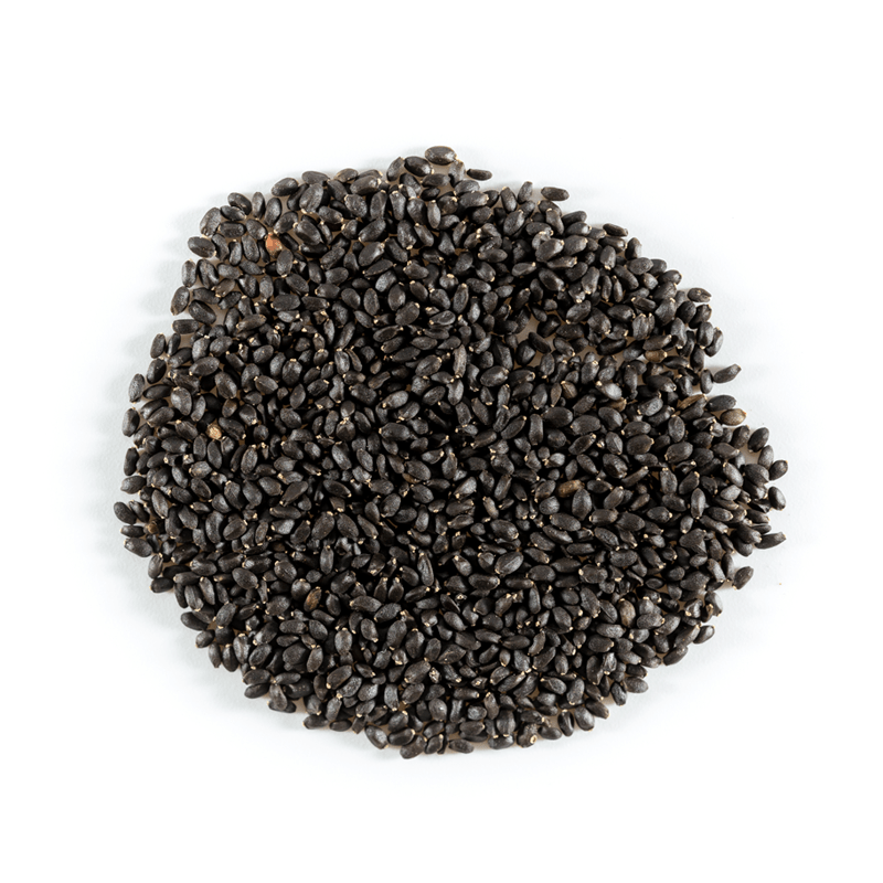 Basil, Genovese (Sweet) seed packet