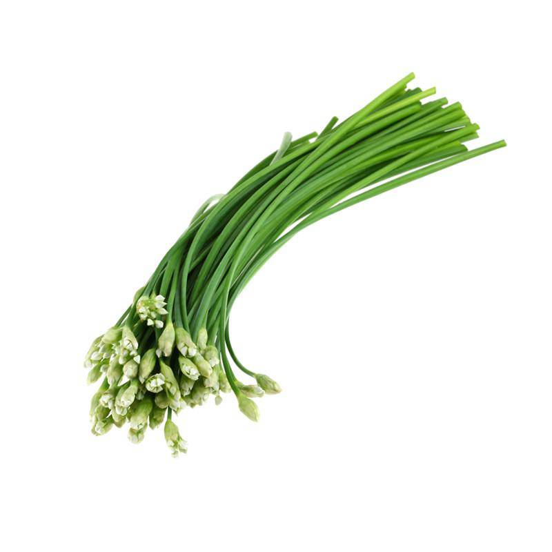 Garlic Chives seed packet