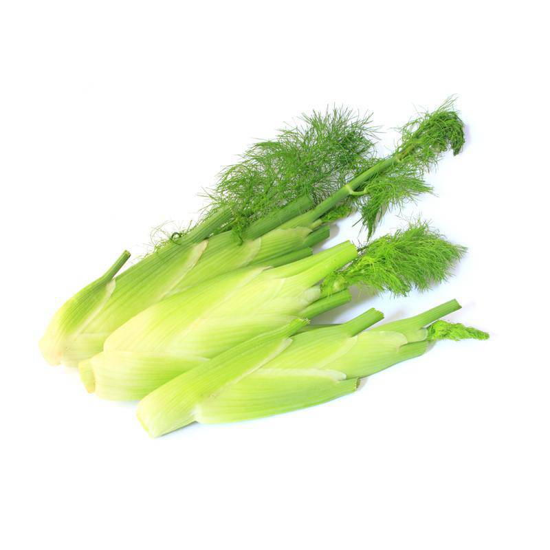 Fennel, Florence seed packet