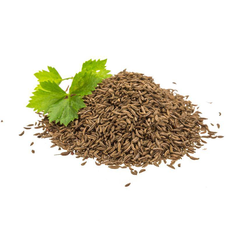 Caraway Seed Packets seed packet
