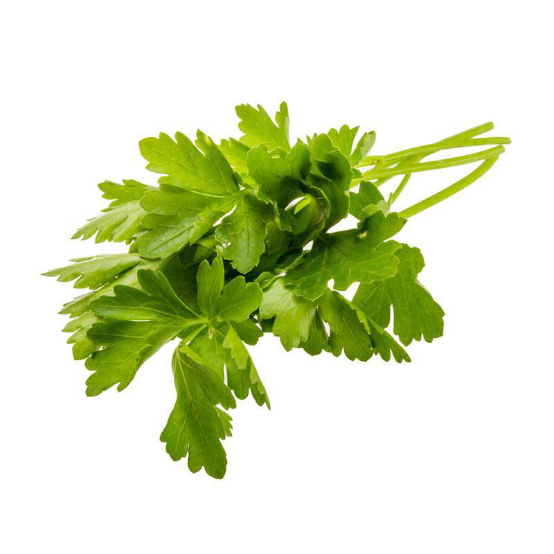Parsley, Plain Italian flower seeds