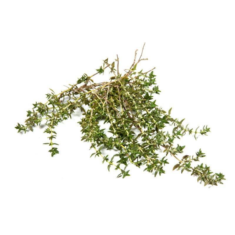 Thyme Seed Packets garden seeds