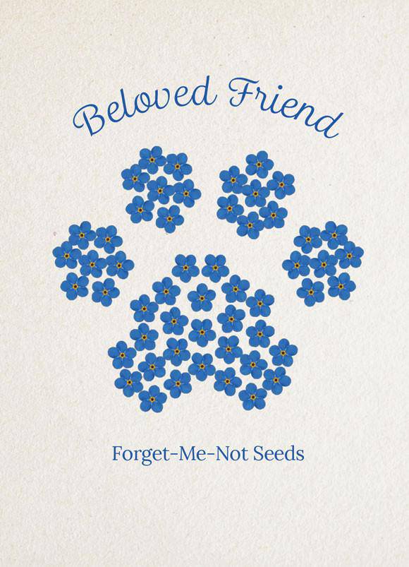 Beloved Friend seed packet