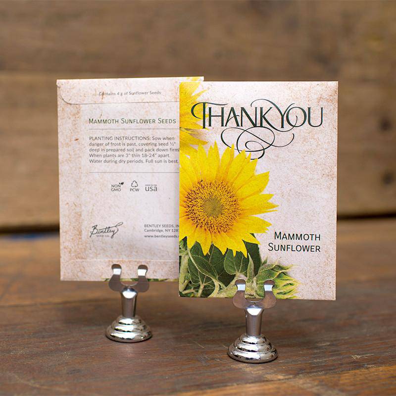 Thank You garden seeds