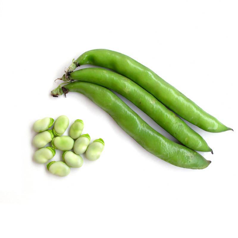 Fresh lima beans on a white background.