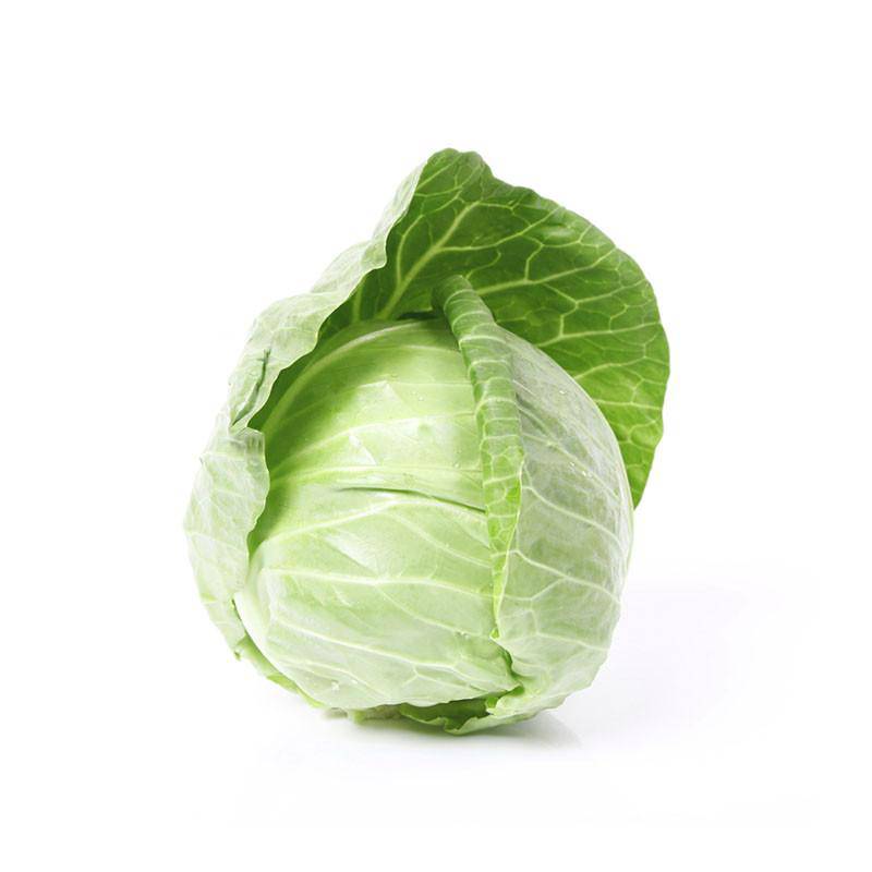 Head of green cabbage on a white background.