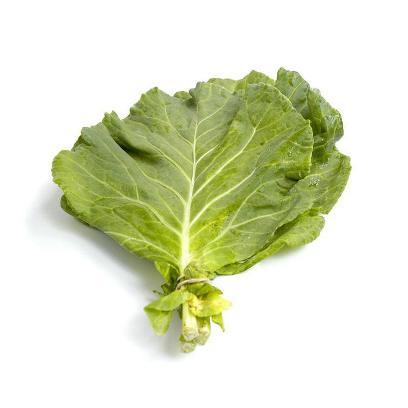 Fresh bunched collards on white background.