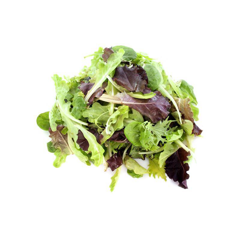 Lettuce, Mesclun Mix Seed Packets garden seeds