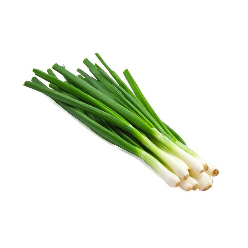 Onion, Evergreen Bunching flower seeds