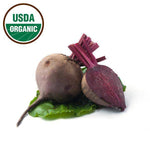 Organic Beet Seeds garden seeds