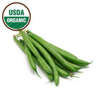 Organic Green Bean Seeds flower seeds
