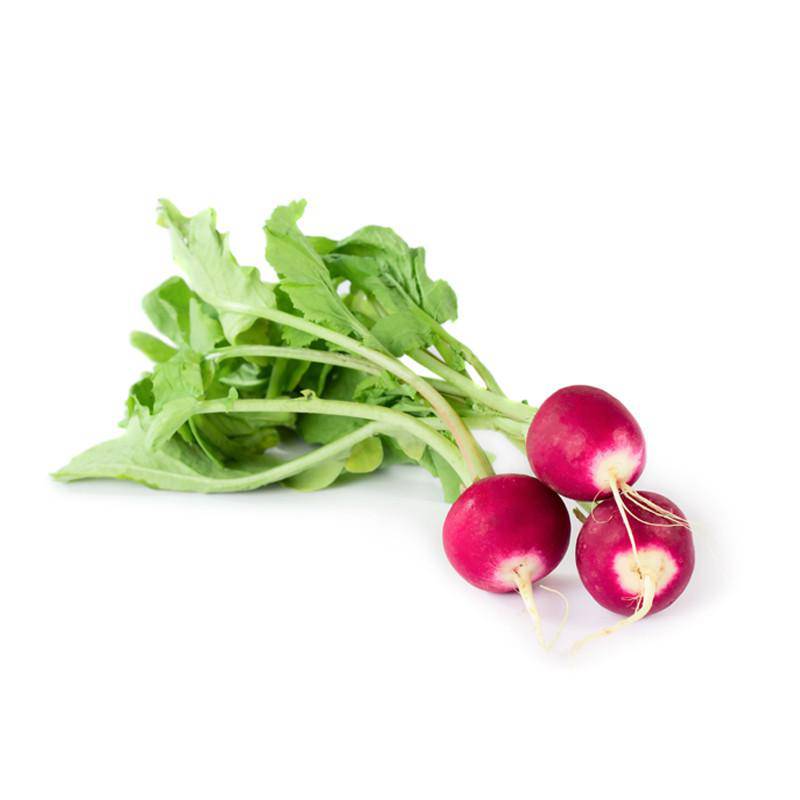 Sparkler Radish with green on white background.