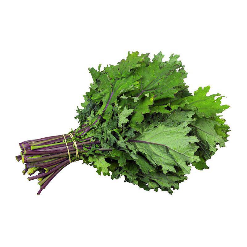 Kale, Red Russian Seed Packets garden seeds