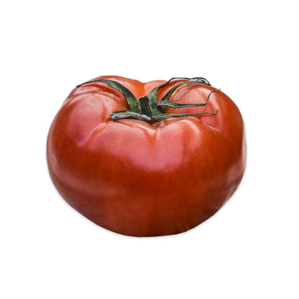 Tomato, Rutgers Seed Packets seed packet