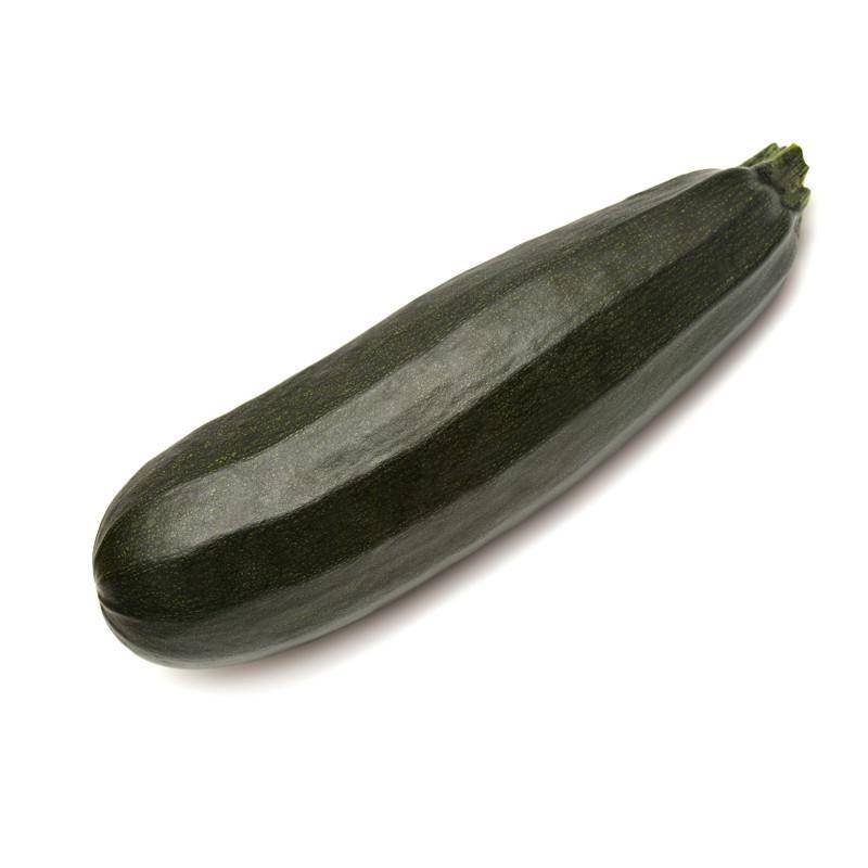 Squash, Black Beauty Zucchini flower seeds