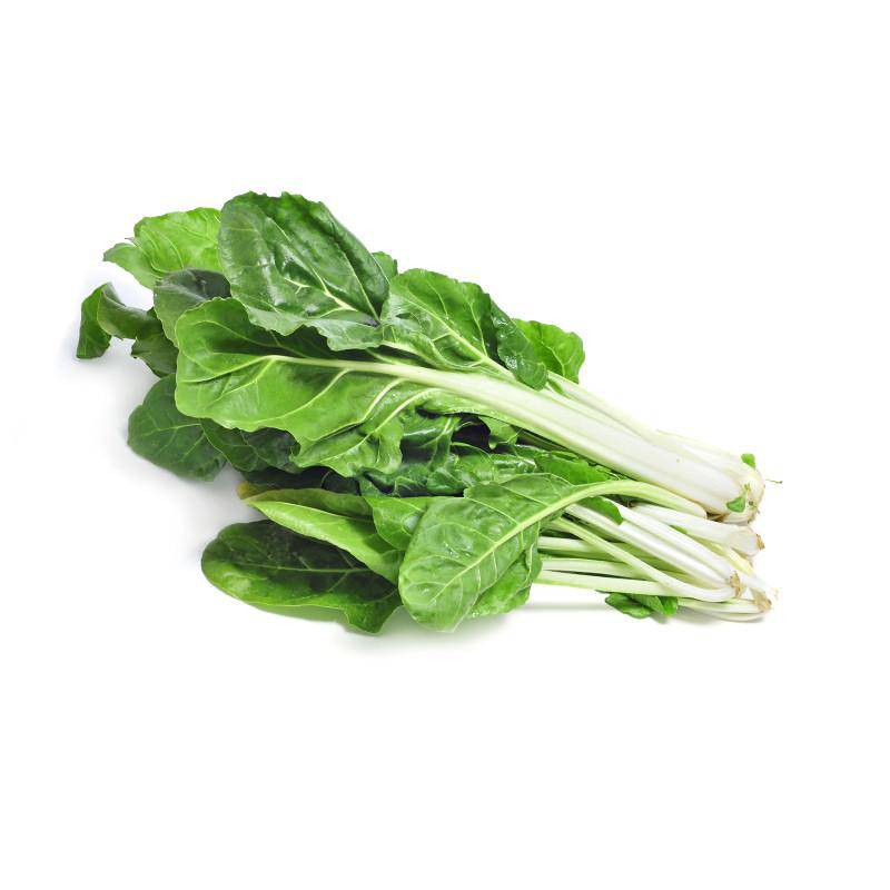 Bunches of fresh Swiss Chard on white background.