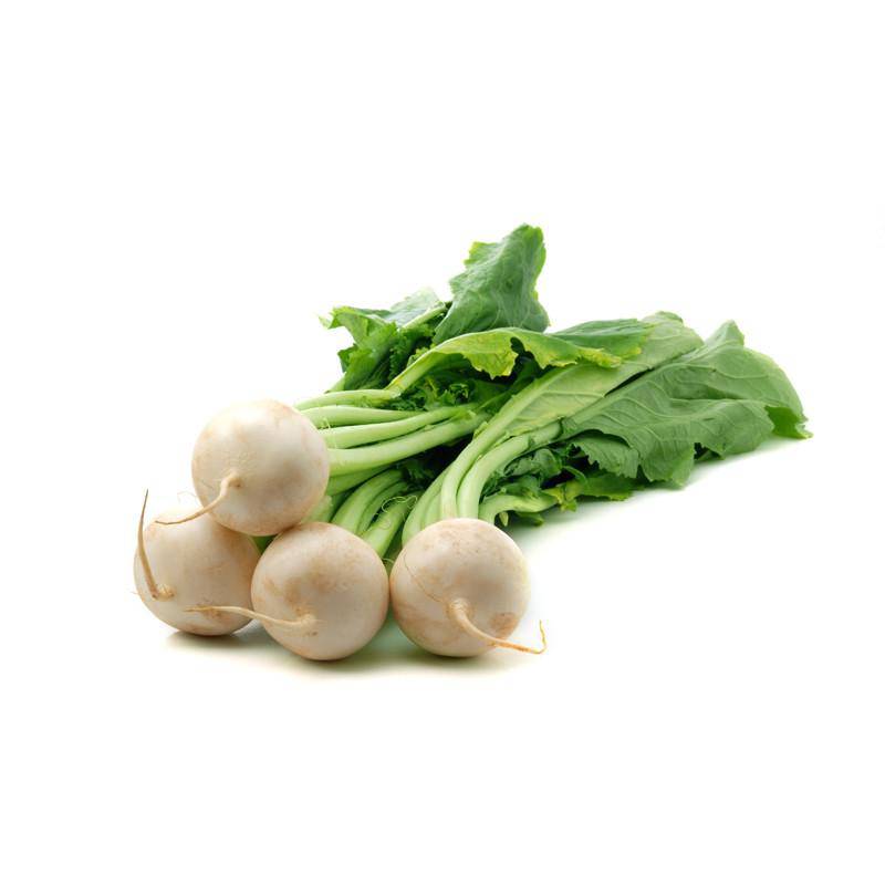 Four turnips with greens on a white background.