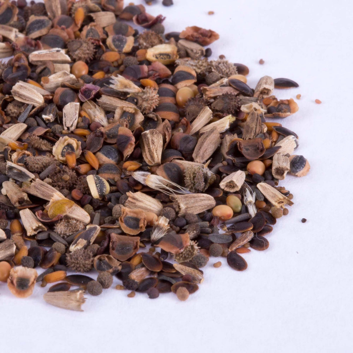 Oh Baby Baby Shower Brown flower seeds