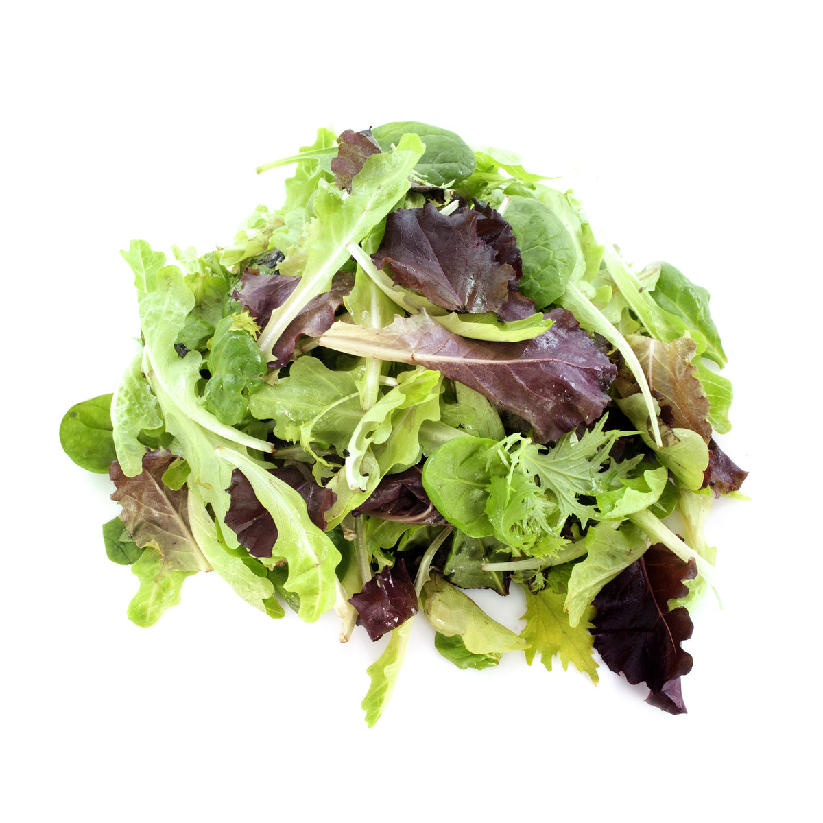 Lettuce, Mesclun Mix garden seeds