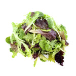 Lettuce, Mesclun Mix garden seeds