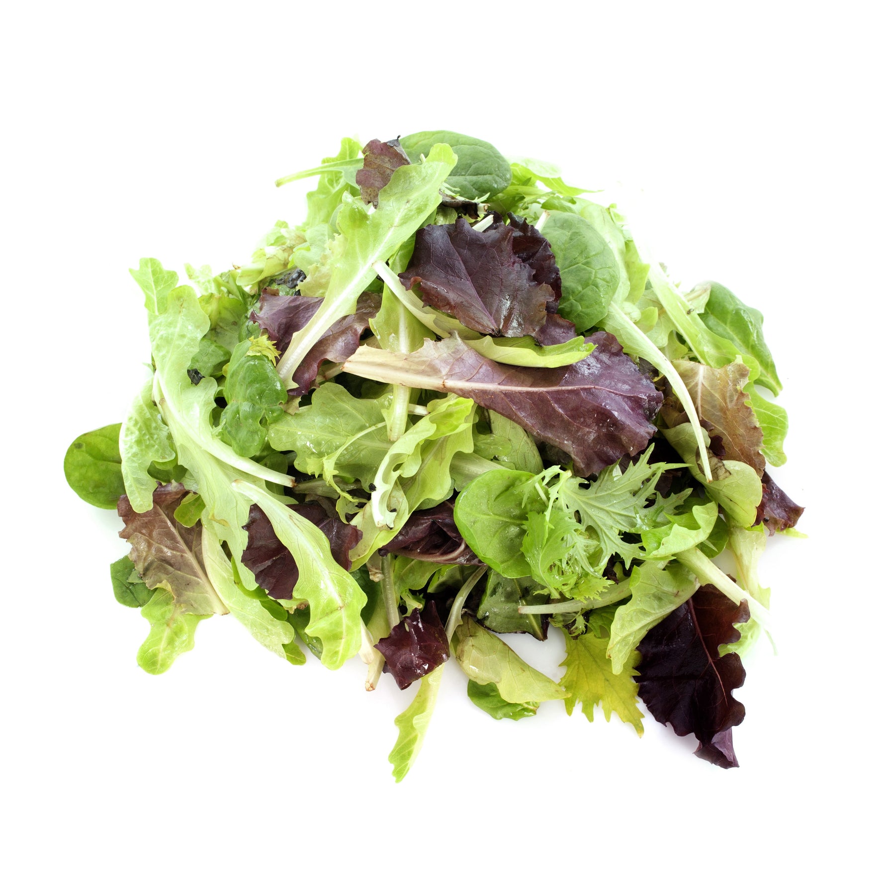Lettuce, Mesclun Mix garden seeds