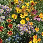 Bee Feed Wildflower Mix seed packet