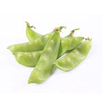 Peas, Oregon Sugar Pod garden seeds